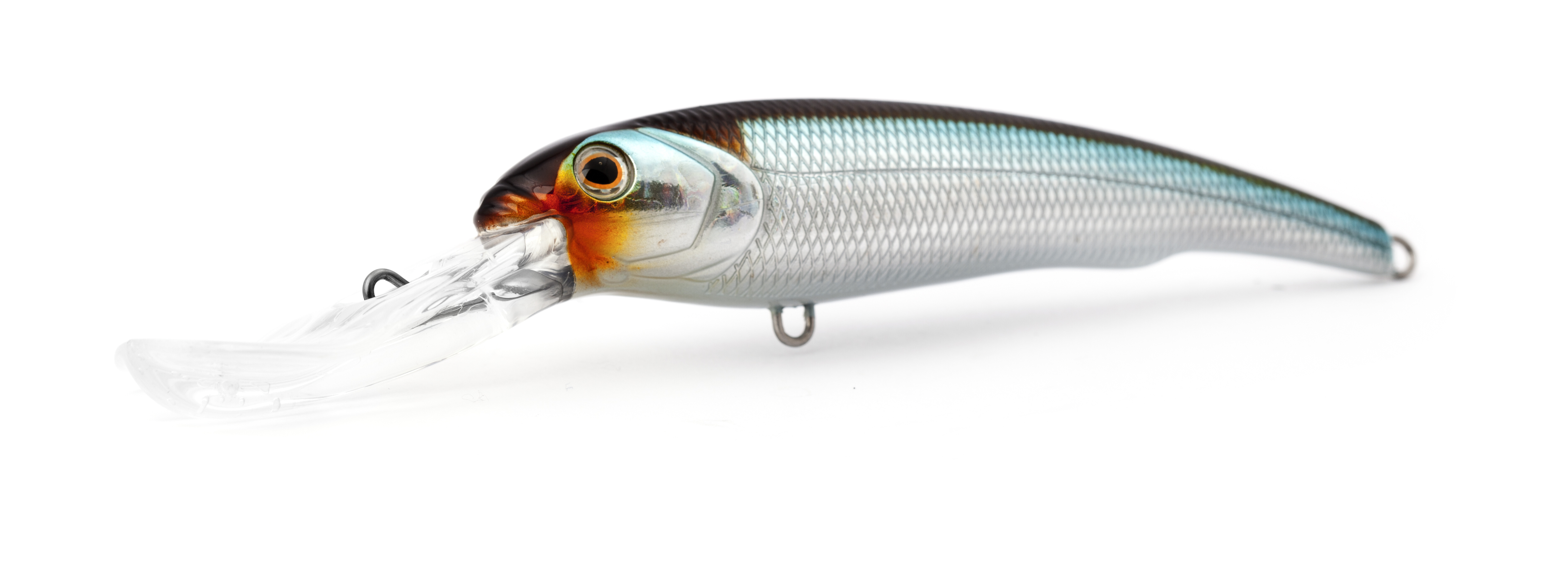 Blue Shad