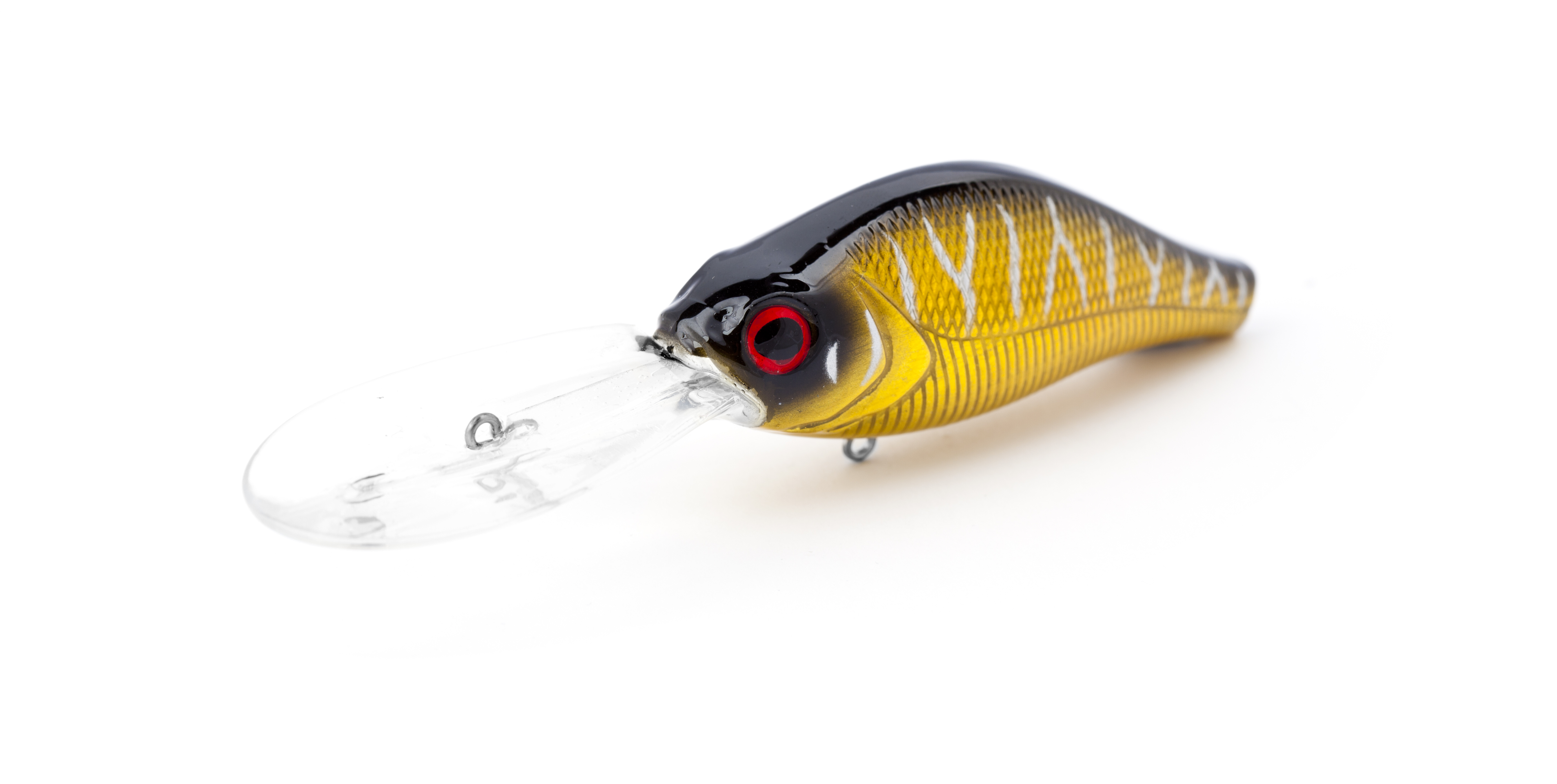 Brown Perch