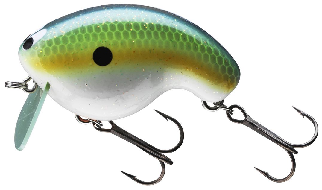 Blue Perch