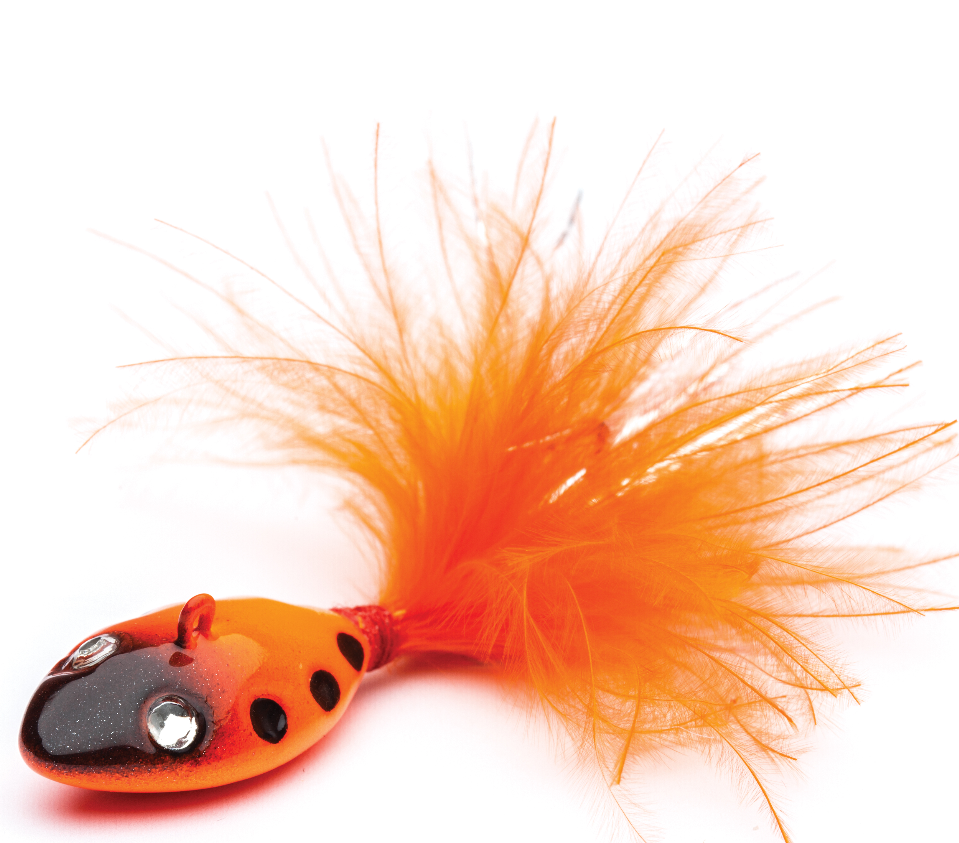 JIG TAIL ASSERI LEECH 2
