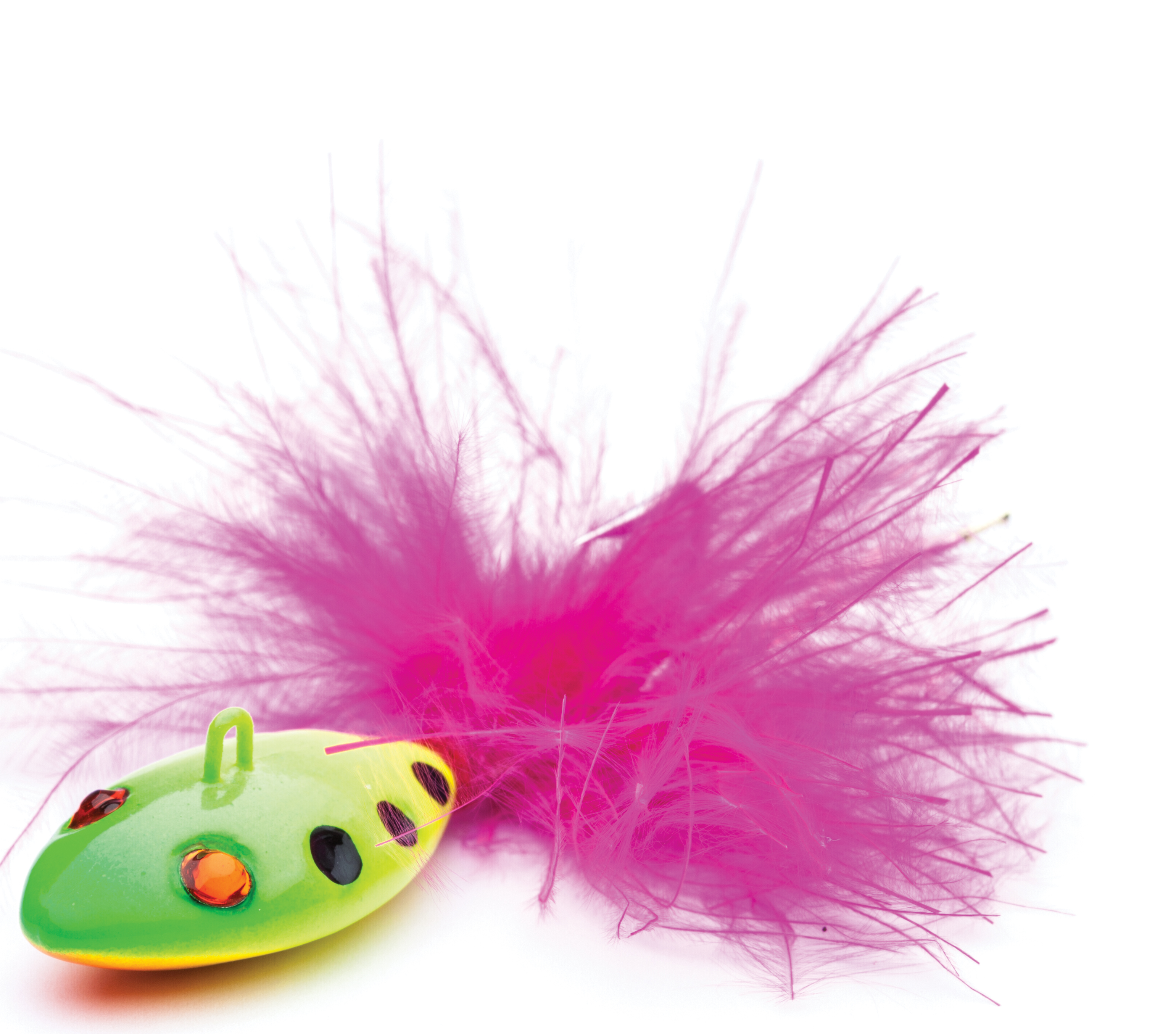 JIG TAIL ASSERI LEECH 1