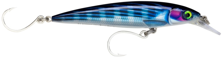RAPALA X-RAP LONG CAST 12 CM 36 G HDBTO